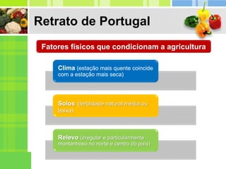 Retrato de Portugal
Fatores físicos que condicionam a agricultura
Clima (estação mais quente coincide
com a estação mais seca)
Solos (fertilidade natural média ou
baixa)
Relevo (irregular e particularmente
montanhoso no norte e centro do país)
 