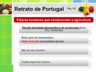 Retrato de Portugal
Fatores humanos que condicionam a agricultura
Elevada densidade demográfica e de construções levou
75%- minifúndios
Baixo grau de escolaridade ;
Idade avançada da população agrícola
Mão de obra familiar
Política Agrícola Comum.
Pág 116
 