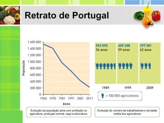 Retrato de Portugal
Evolução da população ativa com profissão na
agricultura, produção animal, caça e silvicultura.
Evolução do número de trabalhadores e da idade
média dos agricultores
 