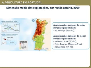 A AGRICULTURA EM PORTUGAL
Dimensão média das explorações, por região agrária, 2009
As explorações agrícolas de maior
dimensão predominam:
- no Alentejo (61,5 há).
As explorações agrícolas de menor
dimensão predominam:
- na Beira Litoral (2,5 ha);
- Entre Douro e Minho (4,3 ha);
- na Madeira (0,4 ha).
 