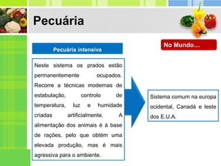 Pecuária
Pecuária intensiva
Neste sistema os prados estão
permanentemente ocupados.
Recorre a técnicas modernas de
estabulação, controlo de
temperatura, luz e humidade
criadas artificialmente. A
alimentação dos animais é à base
de rações, pelo que obtém uma
elevada produção, mas é mais
agressiva para o ambiente.
Sistema comum na europa
ocidental, Canadá e leste
dos E.U.A.
No Mundo…
 
