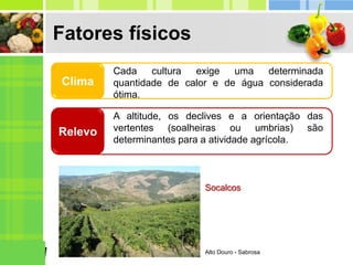 Fatores físicos
Socalcos
Cada cultura exige uma determinada
quantidade de calor e de água considerada
ótima.
Clima
A altitude, os declives e a orientação das
vertentes (soalheiras ou umbrias) são
determinantes para a atividade agrícola.
Relevo
Alto Douro - Sabrosa
 