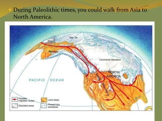  During Paleolithic times, you could walk from Asia to
North America.
 