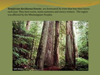 Temperate deciduous forests are dominated by trees that lose their leaves
each year. They have warm, moist summers and snowy winters. The region
was affected by the Mississippian Peoples.
 