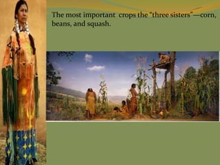 The most important crops the “three sisters”—corn,
beans, and squash.
 