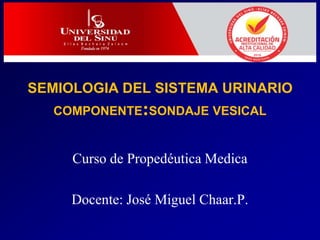 SEMIOLOGIA DEL SISTEMA URINARIO
COMPONENTE:SONDAJE VESICAL
Curso de Propedéutica Medica
Docente: José Miguel Chaar.P.
 