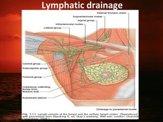 Lymphatic drainage
12
 