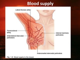 Blood supply
9
 