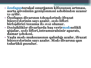 • özofagustorakal onurğanın kifozunun artması,
aorta qövsünün genişlənməsi səbəbindən uzanır
və əyilir.
• Özofagus divarının təbəqələrində ifrazat
hüceyrələrinin sayı azalır, əzələ lifləri
birləşdirici toxuma ilə əvəz olunur.
• Dəyişikliklər divarlarda baş verirmədəselikli
qişalar, əzələ lifləri,intramuralsinir aparatı,
damar şəbəkəsi.
• Yaşla mədə mukozasının qalınlığı azalır, ifrazat
hüceyrələrinin sayı azalır. Mədə divarına qan
tədarükü pozulur.
 