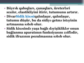 • Böyrək qabıqları, çanaqları, üreterləri
sıxılır, elastikliyini itirir, tutumunu artırır.
• DivarSidik kisəsiqalınlaşır, qalınlaşır,
tutumu düşür, bu da sidiyə getmə istəyinin
artmasına səbəb olur.
• Sidik kisəsində yaşa bağlı dəyişikliklər onun
bağlanma aparatının funksiyasını zəiflədir,
sidik ifrazının pozulmasına səbəb olur.
 