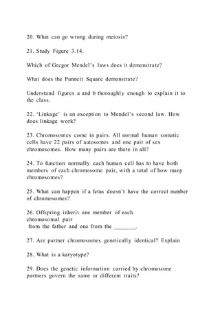 20. What can go wrong during meiosis?
21. Study Figure 3.14.
Which of Gregor Mendel’s laws does it demonstrate?
What does the Punnett Square demonstrate?
Understand figures a and b thoroughly enough to explain it to
the class.
22. ‘Linkage’ is an exception to Mendel’s second law. How
does linkage work?
23. Chromosomes come in pairs. All normal human somatic
cells have 22 pairs of autosomes and one pair of sex
chromosomes. How many pairs are there in all?
24. To function normally each human cell has to have both
members of each chromosome pair, with a total of how many
chromosomes?
25. What can happen if a fetus doesn’t have the correct number
of chromosomes?
26. Offspring inherit one member of each
chromosomal pair
from the father and one from the _______.
27. Are partner chromosomes genetically identical? Explain
28. What is a karyotype?
29. Does the genetic information carried by chromosome
partners govern the same or different traits?
 