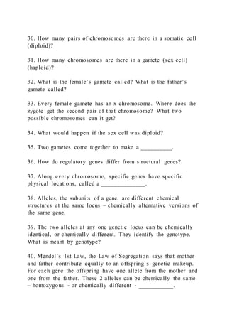 30. How many pairs of chromosomes are there in a somatic cell
(diploid)?
31. How many chromosomes are there in a gamete (sex cell)
(haploid)?
32. What is the female’s gamete called? What is the father’s
gamete called?
33. Every female gamete has an x chromosome. Where does the
zygote get the second pair of that chromosome? What two
possible chromosomes can it get?
34. What would happen if the sex cell was diploid?
35. Two gametes come together to make a __________.
36. How do regulatory genes differ from structural genes?
37. Along every chromosome, specific genes have specific
physical locations, called a ______________.
38. Alleles, the subunits of a gene, are different chemical
structures at the same locus – chemically alternative versions of
the same gene.
39. The two alleles at any one genetic locus can be chemically
identical, or chemically different. They identify the genotype.
What is meant by genotype?
40. Mendel’s 1st Law, the Law of Segregation says that mother
and father contribute equally to an offspring’s genetic makeup.
For each gene the offspring have one allele from the mother and
one from the father. These 2 alleles can be chemically the same
– homozygous - or chemically different - ___________.
 