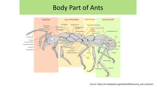 1. Purnama Hidayat-taxonomy ants.pdf