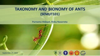 TAXONOMY AND BIONOMY OF ANTS
(SEMUT101)
Purnama Hidayat, Rizky Nazarreta
September 23, 2022
 