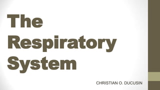 The
Respiratory
System
CHRISTIAN O. DUCUSIN
 