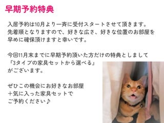 早期予約特典
入居予約は10月より一斉に受付スタートさせて頂きます。
先着順となりますので、好きな広さ、好きな位置のお部屋を
早めに確保頂けますと幸いです。
今回11月末までに早期予約頂いた方だけの特典としまして
『3タイプの家具セットから選べる』
がございます。
ぜひこの機会にお好きなお部屋
＋気に入った家具セットで
ご予約ください♪
 