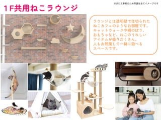 １F共用ねこラウンジ
ラウンジとは透明壁で仕切られた
ねこカフェのようなお部屋です。
キャットウォークや綱のぼり、
おもちゃなど、ねこのうれしい
アイテムが盛りだくさん。
人もお邪魔して一緒に遊べる
スペースです。
※まだ工事前のため写真は全てイメージです
 