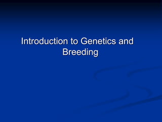 Introduction to Genetics and
Breeding
 