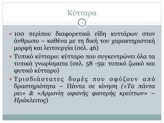 Κύτταρα
3
● 100 περίπου διαφορετικά είδη κυττάρων στον
άνθρωπο – καθένα µε τη δική του χαρακτηριστική
µορφή και λειτουργία (σελ. 46)
● Τυπικό κύτταρο: κύτταρο που συγκεντρώνει όλα τα
τυπικά γνωρίσµατα (σελ. 58 -59: τυπικό ζωικό και
φυτικό κύτταρο)
● Τρισδιάστατες δοµές που σφύζουν από
δραστηριότητα – Πάντα σε κίνηση («Τα πάντα
ρει» & «Αρµονίη αφανής φανερής κρείττων» –
Ηράκλειτος)
 