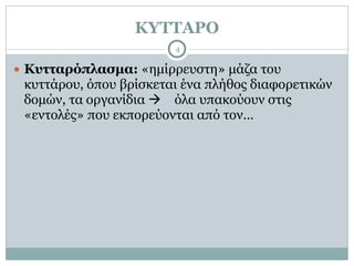 ΚΥΤΤΑΡΟ
4
● Κυτταρόπλασµα: «ηµίρρευστη» µάζα του
κυττάρου, όπου βρίσκεται ένα πλήθος διαφορετικών
δοµών, τα οργανίδια ! όλα υπακούουν στις
«εντολές» που εκπορεύονται από τον…
 