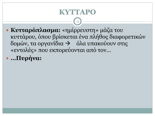 ΚΥΤΤΑΡΟ
4
● Κυτταρόπλασµα: «ηµίρρευστη» µάζα του
κυττάρου, όπου βρίσκεται ένα πλήθος διαφορετικών
δοµών, τα οργανίδια ! όλα υπακούουν στις
«εντολές» που εκπορεύονται από τον…
● …Πυρήνα:
 