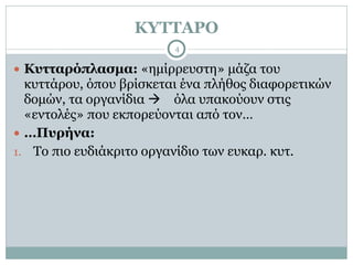 ΚΥΤΤΑΡΟ
4
● Κυτταρόπλασµα: «ηµίρρευστη» µάζα του
κυττάρου, όπου βρίσκεται ένα πλήθος διαφορετικών
δοµών, τα οργανίδια ! όλα υπακούουν στις
«εντολές» που εκπορεύονται από τον…
● …Πυρήνα:
1. Το πιο ευδιάκριτο οργανίδιο των ευκαρ. κυτ.
 