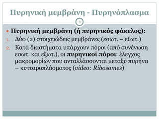 Πυρηνική µεµβράνη - Πυρηνόπλασµα
6
● Πυρηνική µεµβράνη (ή πυρηνικός φάκελος):
1. Δύ0 (2) στοιχειώδεις µεµβράνες (εσωτ. – εξωτ.)
2. Κατά διαστήµατα υπάρχουν πόροι (από συνένωση
εσωτ. και εξωτ.), οι πυρηνικοί πόροι: έλεγχος
µακροµορίων που ανταλλάσσονται µεταξύ πυρήνα
– κυτταροπλάσµατος (video: Ribosomes)
 