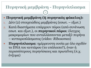 Πυρηνική µεµβράνη - Πυρηνόπλασµα
6
● Πυρηνική µεµβράνη (ή πυρηνικός φάκελος):
1. Δύ0 (2) στοιχειώδεις µεµβράνες (εσωτ. – εξωτ.)
2. Κατά διαστήµατα υπάρχουν πόροι (από συνένωση
εσωτ. και εξωτ.), οι πυρηνικοί πόροι: έλεγχος
µακροµορίων που ανταλλάσσονται µεταξύ πυρήνα
– κυτταροπλάσµατος (video: Ribosomes)
● Πυρηνόπλασµα: ηµίρρευστη ουσία µε όλο σχεδόν
το DNA του κυττάρου (το υπόλοιπο?), έναν ή
περισσότερους πυρηνίσκους και πρωτεΐνες (π.χ.
ένζυµα)
 