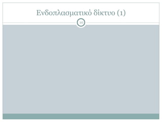 Ενδοπλασµατικό δίκτυο (1)
10
 