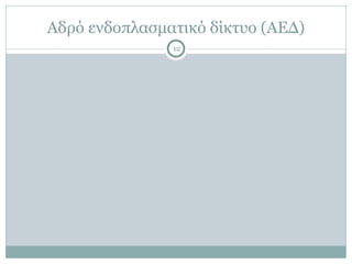 Αδρό ενδοπλασµατικό δίκτυο (ΑΕΔ)
12
 