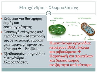 Μιτοχόνδρια - Χλωροπλάστες
16
● Ενέργεια για διατήρηση
δοµής και
λειτουργικότητας
● Εισαγωγή ενέργειας από
περιβάλλον + Μετατροπή
της σε κατάλληλη µορφή
για παραγωγή έργου στα
κύτταρα ! Επιβίωση
● Εξειδικευµένα οργανίδια:
Μιτοχόνδρια -
Χλωροπλάστες
Ηµιαυτόνοµα οργανίδια:
περιέχουν DNA, ένζυµα
και ριβοσώµατα !
Παραγωγή και πρωτεϊνών
και διπλασιασµός
ανεξάρτητα από κύτταρο
 