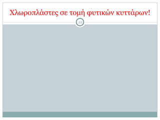 Χλωροπλάστες σε τοµή φυτικών κυττάρων!
22
 