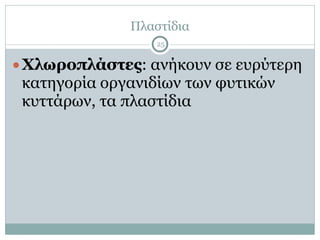 Πλαστίδια
25
●Χλωροπλάστες: ανήκουν σε ευρύτερη
κατηγορία οργανιδίων των φυτικών
κυττάρων, τα πλαστίδια
 