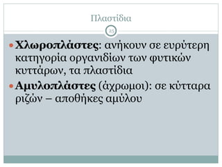 Πλαστίδια
25
●Χλωροπλάστες: ανήκουν σε ευρύτερη
κατηγορία οργανιδίων των φυτικών
κυττάρων, τα πλαστίδια
●Αµυλοπλάστες (άχρωµοι): σε κύτταρα
ριζών – αποθήκες αµύλου
 