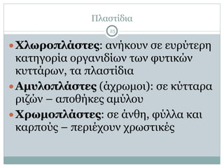 Πλαστίδια
25
●Χλωροπλάστες: ανήκουν σε ευρύτερη
κατηγορία οργανιδίων των φυτικών
κυττάρων, τα πλαστίδια
●Αµυλοπλάστες (άχρωµοι): σε κύτταρα
ριζών – αποθήκες αµύλου
●Χρωµοπλάστες: σε άνθη, φύλλα και
καρπούς – περιέχουν χρωστικές
 