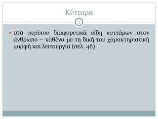 Κύτταρα
3
● 100 περίπου διαφορετικά είδη κυττάρων στον
άνθρωπο – καθένα µε τη δική του χαρακτηριστική
µορφή και λειτουργία (σελ. 46)
 