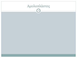 Αµυλοπλάστες
28
 