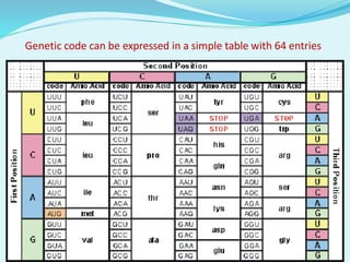 Genetic code can be expressed in a simple table with 64 entries
 