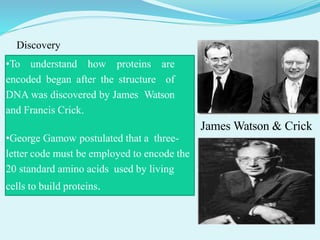 James Watson & Crick
•To understand how proteins are
encoded began after the structure of
DNA was discovered by James Watson
and Francis Crick.
•George Gamow postulated that a three-
letter code must be employed to encode the
20 standard amino acids used by living
cells to build proteins.
Discovery
 