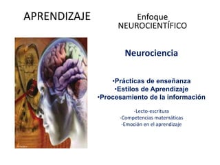 APRENDIZAJE
Neurociencia
•Prácticas de enseñanza
•Estilos de Aprendizaje
•Procesamiento de la información
-Lecto-escritura
-Competencias matemáticas
-Emoción en el aprendizaje
Enfoque
NEUROCIENTÍFICO
 