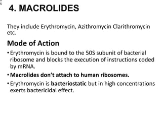 They include Erythromycin, Azithromycin Clarithromycin
etc.
Mode of Action
•Erythromycin is bound to the 50S subunit of bacterial
ribosome and blocks the execution of instructions coded
by mRNA.
•Macrolides don’t attach to human ribosomes.
•Erythromycin is bacteriostatic but in high concentrations
exerts bactericidal effect.
0
5
4. MACROLIDES
 