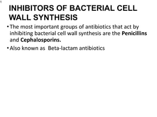 •The most important groups of antibiotics that act by
inhibiting bacterial cell wall synthesis are the Penicillins
and Cephalosporins.
•Also known as Beta-lactam antibiotics
1
INHIBITORS OF BACTERIAL CELL
WALL SYNTHESIS
 