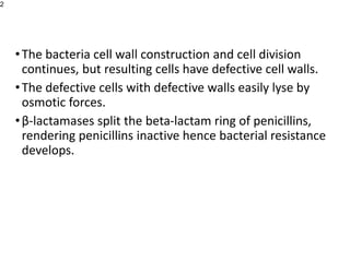 •The bacteria cell wall construction and cell division
continues, but resulting cells have defective cell walls.
•The defective cells with defective walls easily lyse by
osmotic forces.
•β-lactamases split the beta-lactam ring of penicillins,
rendering penicillins inactive hence bacterial resistance
develops.
2
 