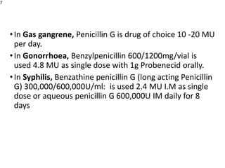 •In Gas gangrene, Penicillin G is drug of choice 10 -20 MU
per day.
•In Gonorrhoea, Benzylpenicillin 600/1200mg/vial is
used 4.8 MU as single dose with 1g Probenecid orally.
•In Syphilis, Benzathine penicillin G (long acting Penicillin
G) 300,000/600,000U/ml: is used 2.4 MU I.M as single
dose or aqueous penicillin G 600,000U IM daily for 8
days
7
 