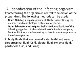 A. Identification of the infecting organism
•Characterizing the organism is central to selection of the
proper drug. The following methods can be used;
• Gram Staining: a rapid assessment. Useful in identifying the
presence and morphologic features of organism.
• Other laboratory techniques: Definitive identification of the
infecting organism. Such as detection of microbial antigens,
DNA, or RNA, or an inflammatory or host immune response to
the microorganism.
•In body fluids that are normally sterile (blood, serum,
cerebrospinal fluid [CSF], pleural fluid, synovial fluid,
peritoneal fluid, and urine).
 