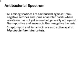 •All aminoglycosides are bactericidal against Gram-
negative aerobes and some anaerobic bacilli where
resistance has not yet arisen but generally not against
Gram-positive and anaerobic Gram-negative bacteria.
•Streptomycin and Kanamycin are also active against
Mycobacterium tuberculosis.
6
Antibacterial Spectrum
 