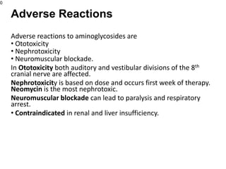 Adverse reactions to aminoglycosides are
• Ototoxicity
• Nephrotoxicity
• Neuromuscular blockade.
In Ototoxicity both auditory and vestibular divisions of the 8th
cranial nerve are affected.
Nephrotoxicity is based on dose and occurs first week of therapy.
Neomycin is the most nephrotoxic.
Neuromuscular blockade can lead to paralysis and respiratory
arrest.
• Contraindicated in renal and liver insufficiency.
0
Adverse Reactions
 