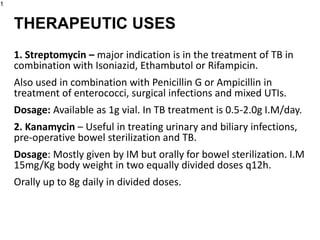 1. Streptomycin – major indication is in the treatment of TB in
combination with Isoniazid, Ethambutol or Rifampicin.
Also used in combination with Penicillin G or Ampicillin in
treatment of enterococci, surgical infections and mixed UTIs.
Dosage: Available as 1g vial. In TB treatment is 0.5-2.0g I.M/day.
2. Kanamycin – Useful in treating urinary and biliary infections,
pre-operative bowel sterilization and TB.
Dosage: Mostly given by IM but orally for bowel sterilization. I.M
15mg/Kg body weight in two equally divided doses q12h.
Orally up to 8g daily in divided doses.
1
THERAPEUTIC USES
 