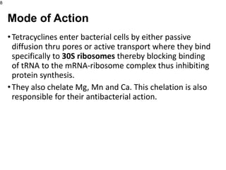 •Tetracyclines enter bacterial cells by either passive
diffusion thru pores or active transport where they bind
specifically to 30S ribosomes thereby blocking binding
of tRNA to the mRNA-ribosome complex thus inhibiting
protein synthesis.
•They also chelate Mg, Mn and Ca. This chelation is also
responsible for their antibacterial action.
8
Mode of Action
 