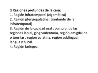 Regiones profundas de la cara:
1. Región infratemporal (cigomática)
2. Región pterigopalatina (tranfondo de la
infratemporal)
3. Región de la cavidad oral : comprende las
regiones labial, gingivodentaria, región amigdalina
o tonsilar , región palatina, región sublingual,
lengua y bucal.
4. Región faringea
 